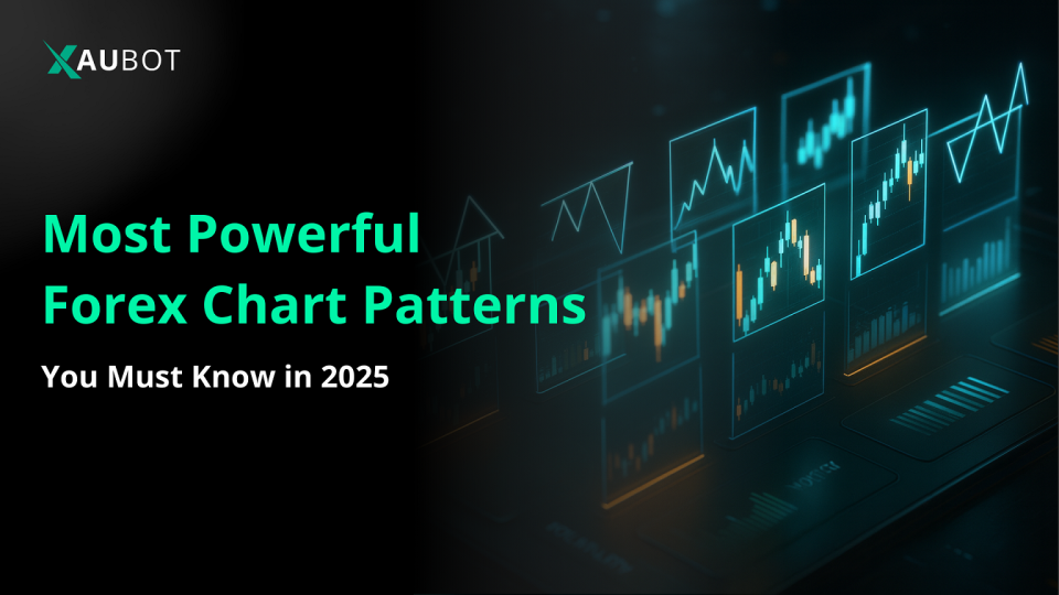 here are 12 of the most powerful chart patterns that any forex trader needs to know