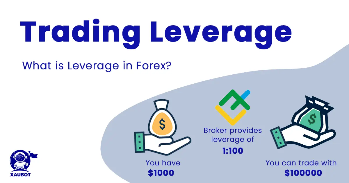 Leverage in Forex Trading Terminology