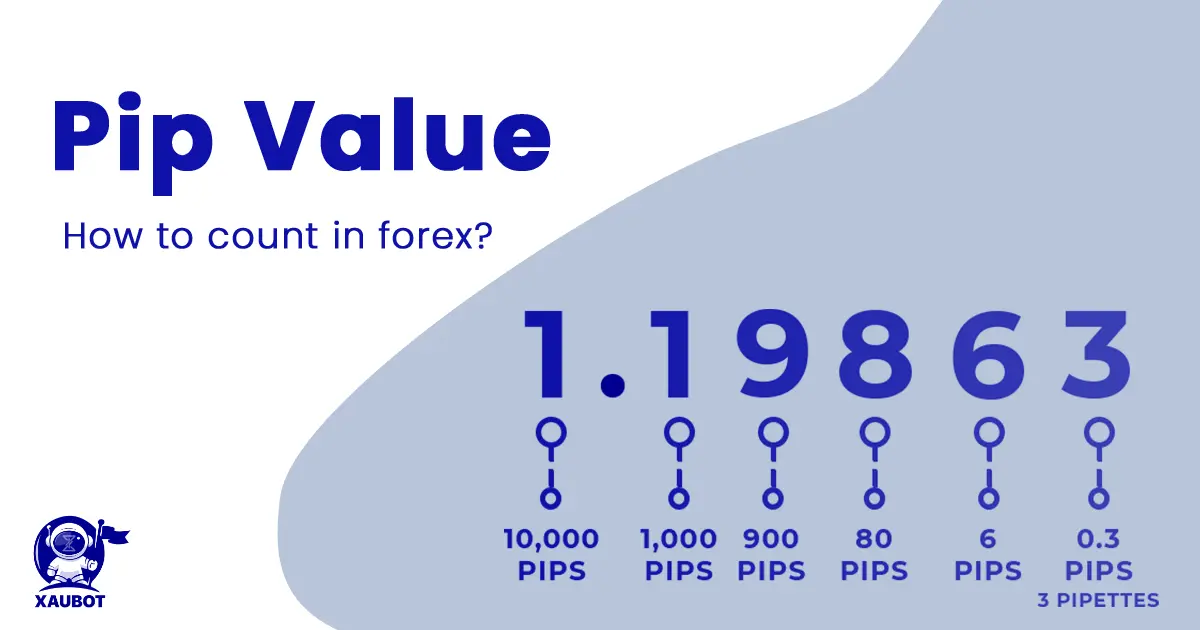 Pip value in Forex Trading Terminology