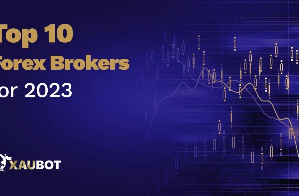 Top forex brokers