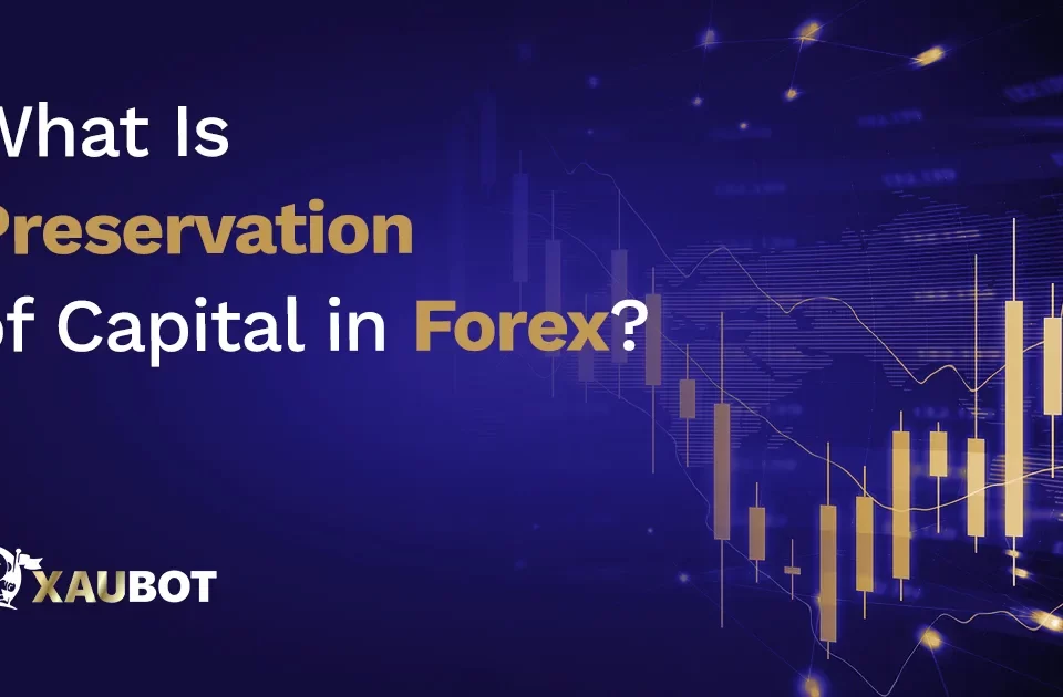 What Is Preservation of Capital in Forex?