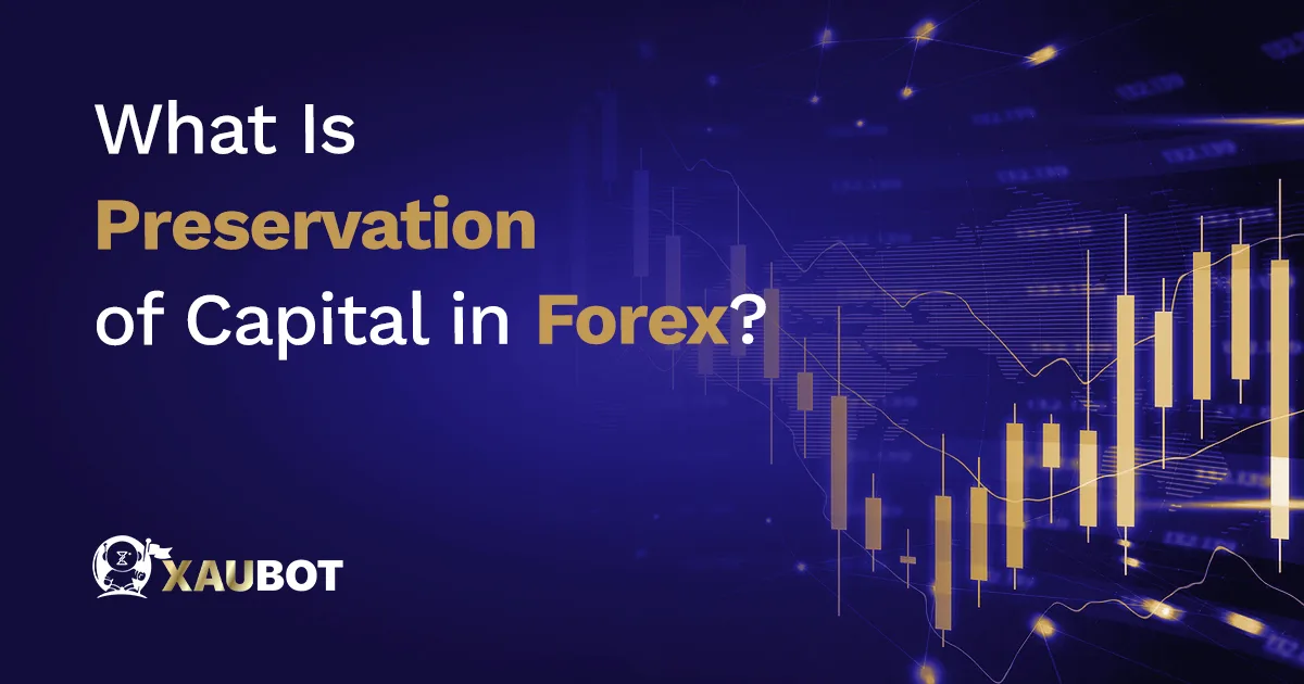 What Is Preservation of Capital in Forex?