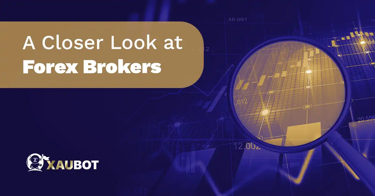 A Closer Look at Forex Brokers