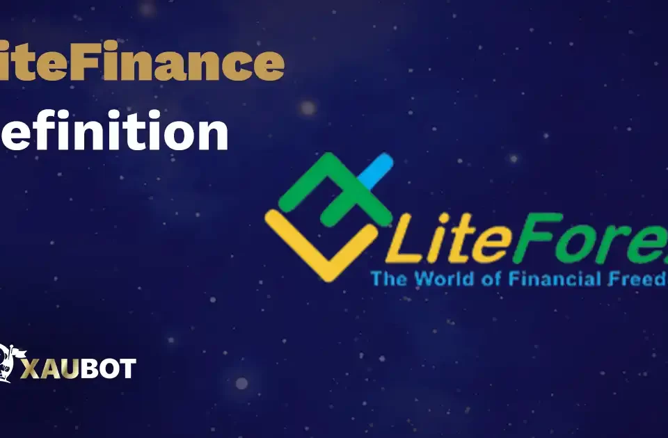 LiteFinance Definition