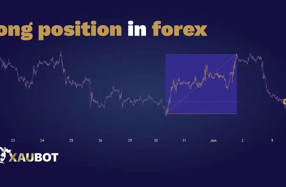 Long Position in Forex