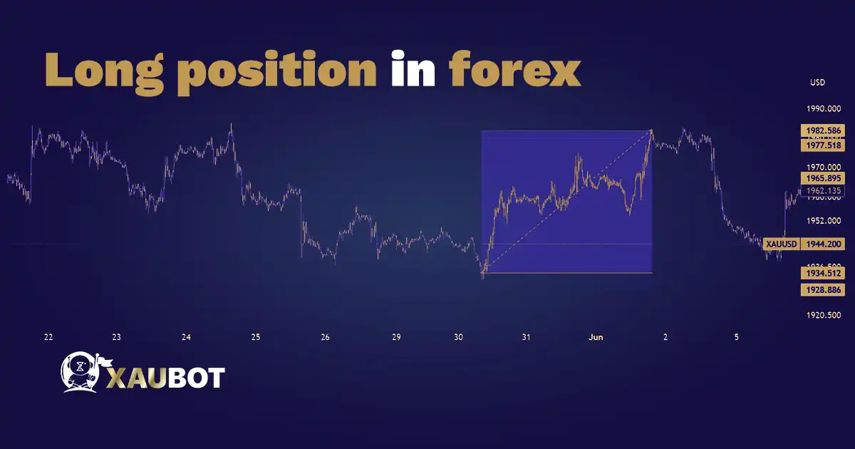 Long Position in Forex