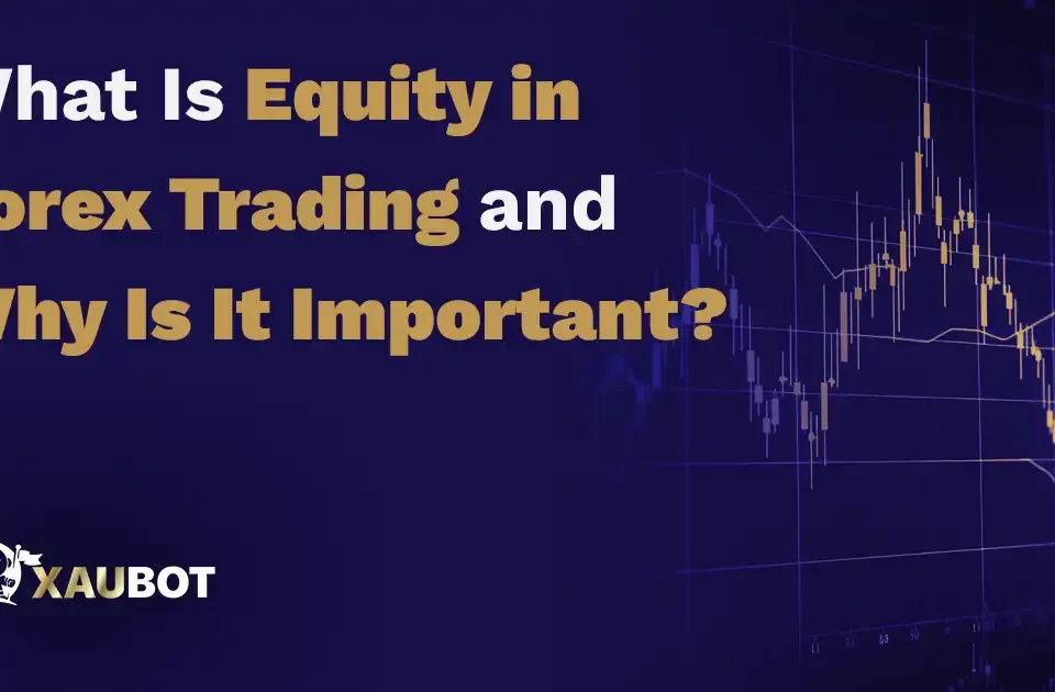 What Is Equity in Forex Trading and Why Is It Important