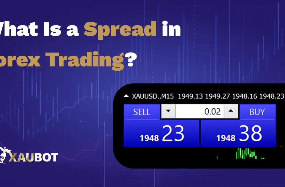 What Is a Spread in Forex Trading