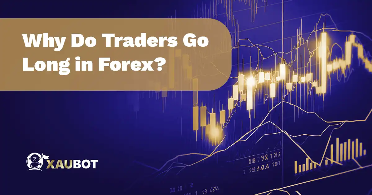 Why Do Traders Go Long in Forex