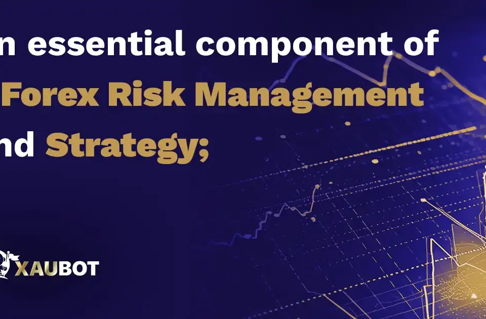 An essential Components of a Forex Risk Management Strategy