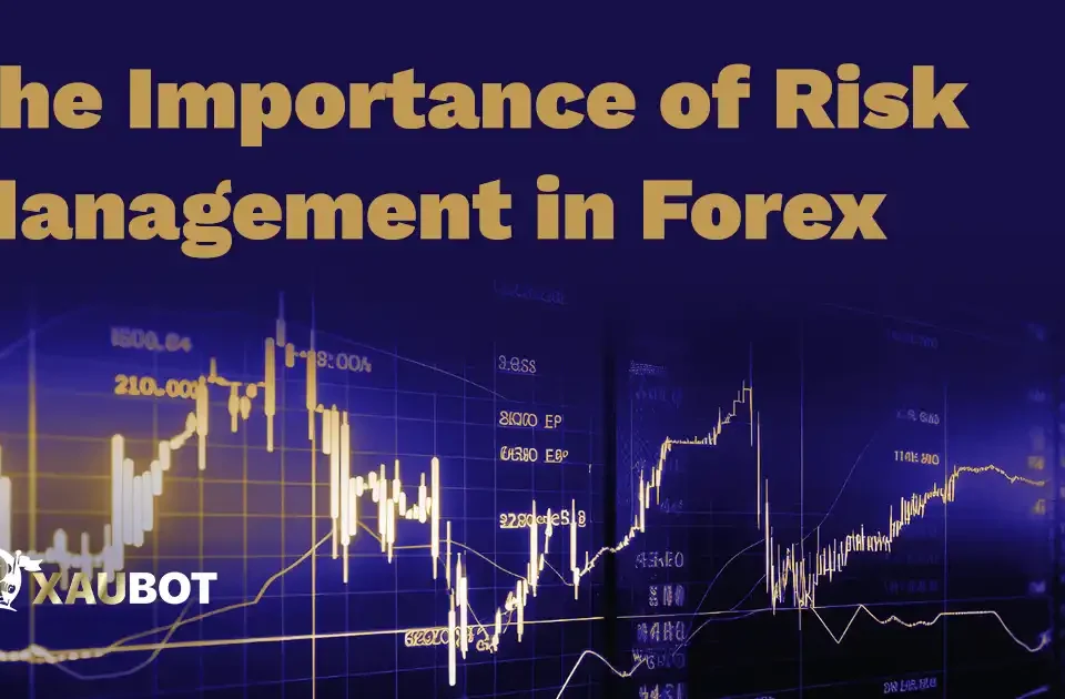 The Importance of Risk Management in Forex