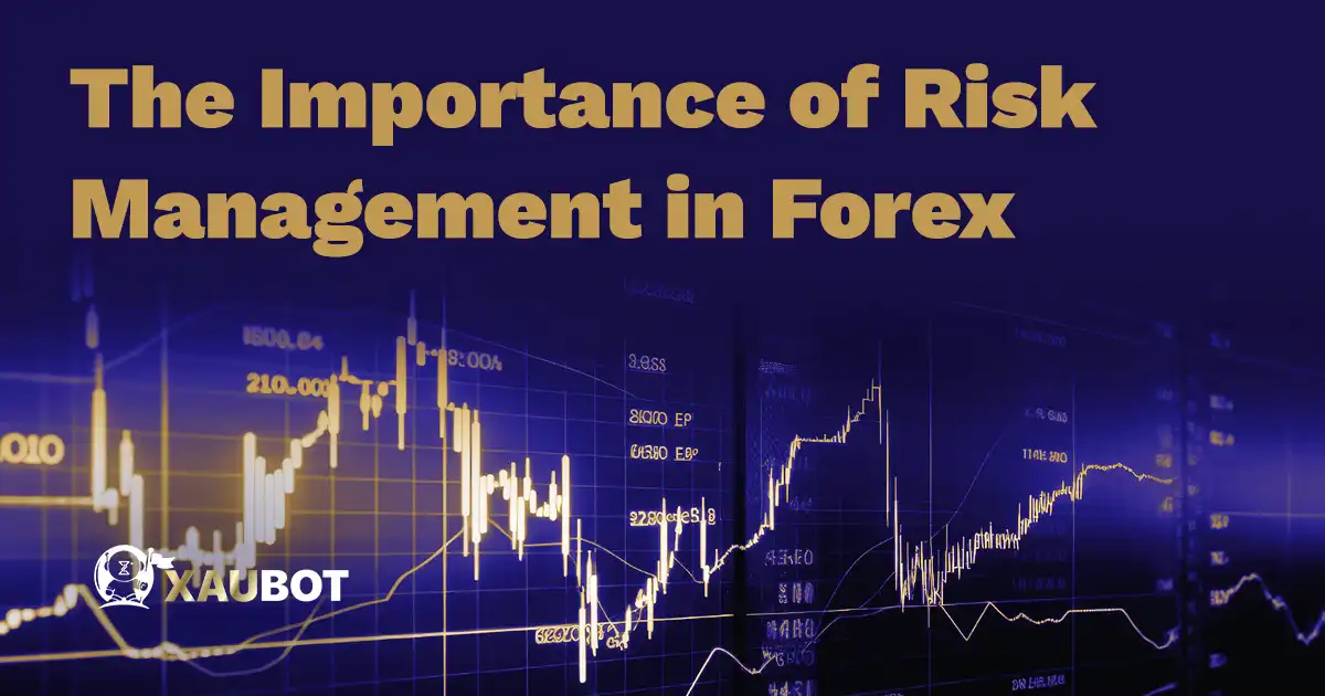 The Importance of Risk Management in Forex
