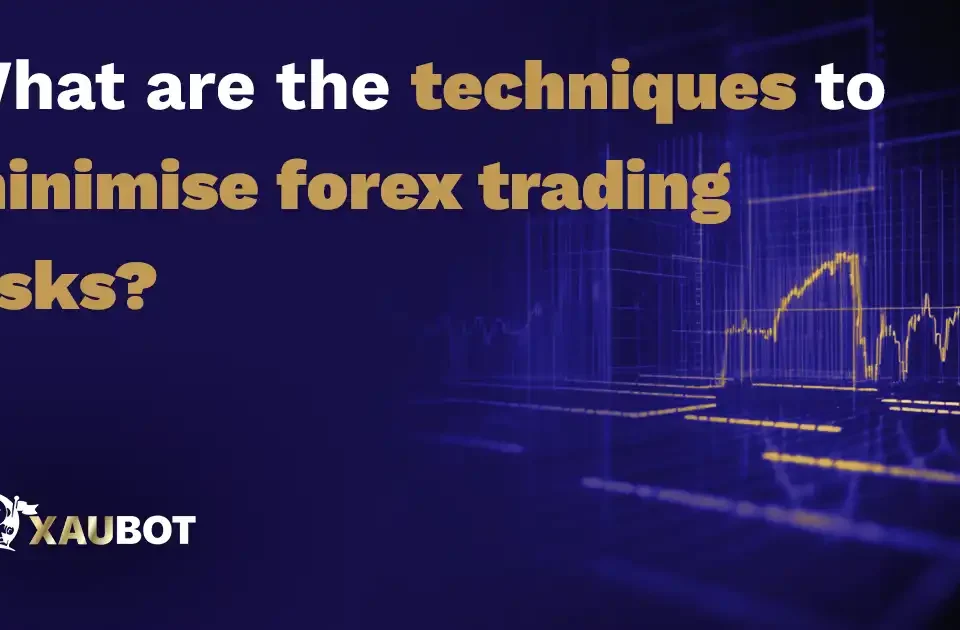 What are the techniques to minimise forex trading risks