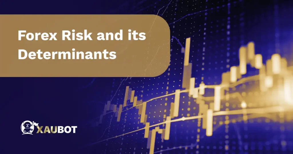 Forex Risk and its Determinants