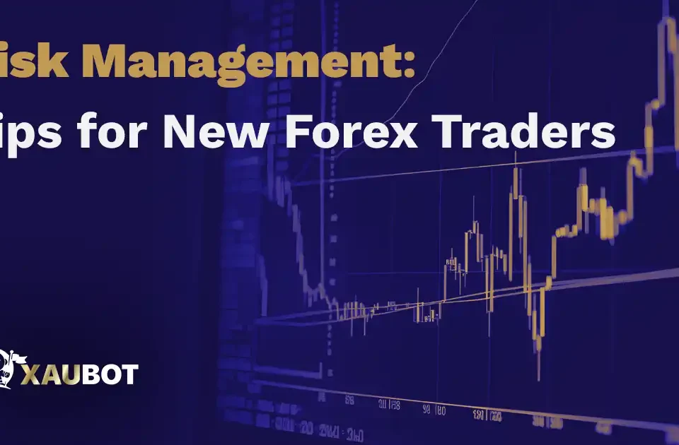 Risk Management Tips for New Forex Traders