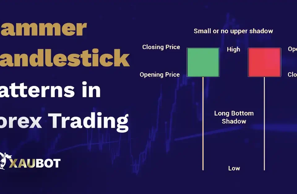Hammer Candlestick Patterns in Forex Trading