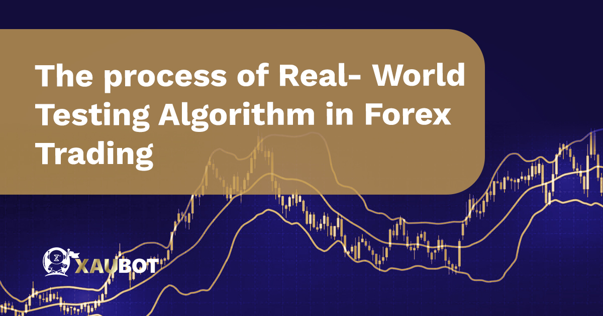 The process of Real- World Testing Algorithm in Forex Trading