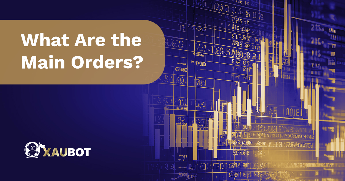 What Are the Main Orders? 