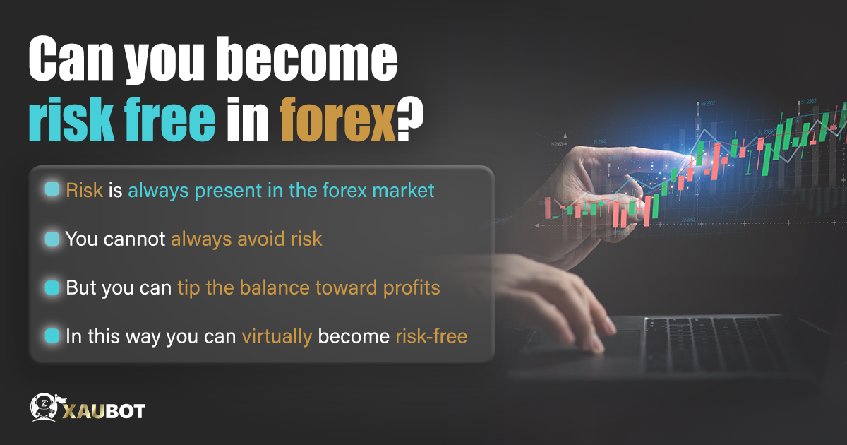 forex-risk-free-trader