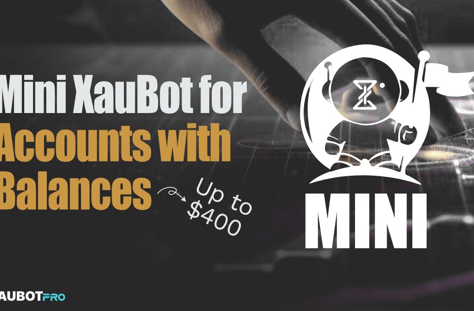 mini-xaubot-balance