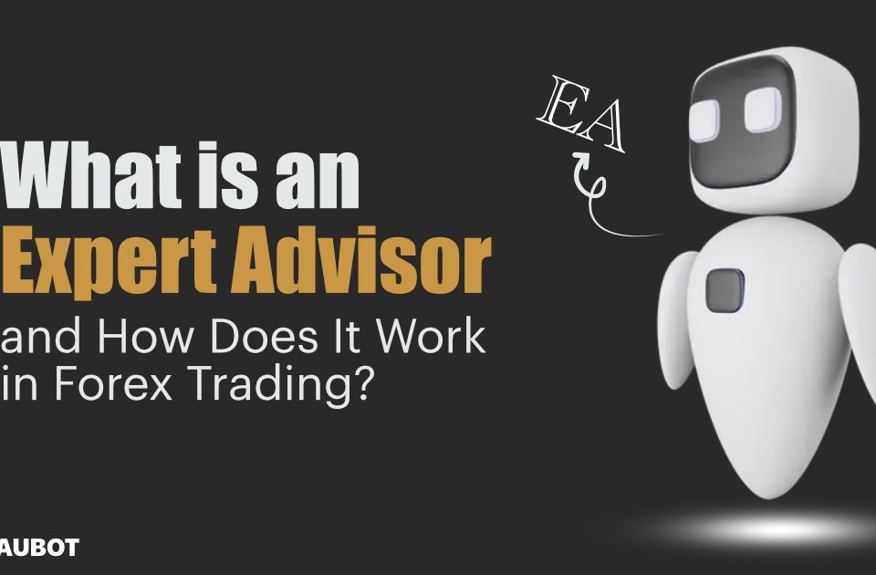 What is an Expert Advisor