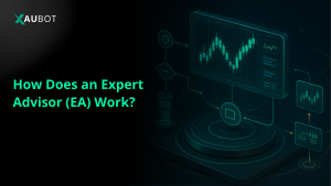 How Does an Expert Advisor Work? The Basics of EA Trading Explained