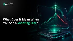 What Does It Mean When You See a Shooting Star?