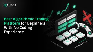 Best Algorithmic Trading Platform for Beginners With No Coding Experience