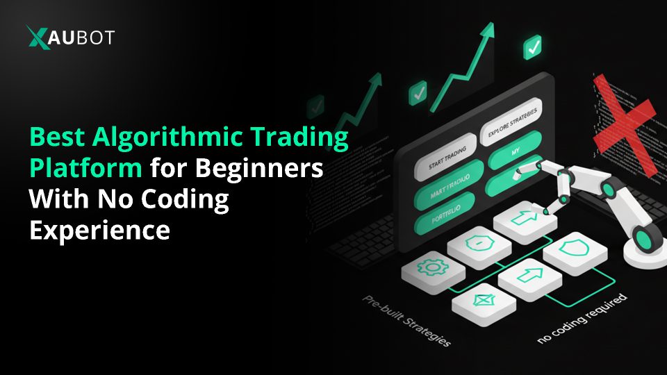 Best Algorithmic Trading Platform for Beginners With No Coding Experience G